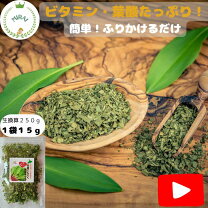 楽天市場】行者にんにく（産地（都道府県）北海道）（その他野菜｜野菜 