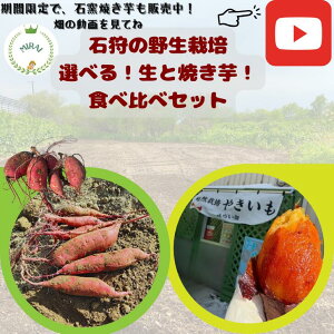 yΎ_꒼zIׂ  1EⓀĂAΗqĂ 2ETc}C Ύ̔_ꂩ璼 ̂́A9{ 󂠂 VI쐶͔|p[ŁAÂĔI