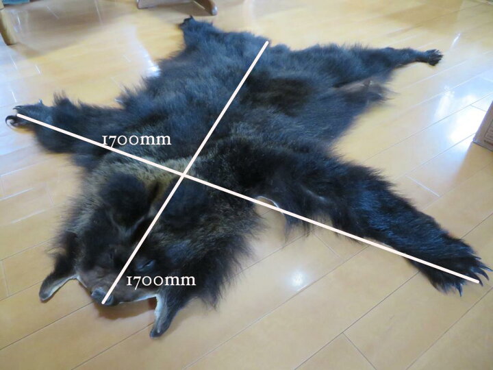 楽天市場】【本物の鹿皮使用】北海道産 ヒグマの毛皮ラグ 敷物 中 