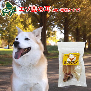   Y kCY G]   2 ςᎉb J[  G]VJ VJ WrG hbNt[h p ̂ ̃Ic ʂ̂  