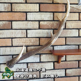 読書 苛性 予想外 鹿 の 角 インテリア おしゃれ Kongoson Jp