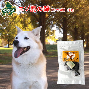   Y kCY G]  iЂÂ߁j f^PA ςᎉb J[  G]VJ VJ WrG hbNt[h p ̂ ̃Ic 