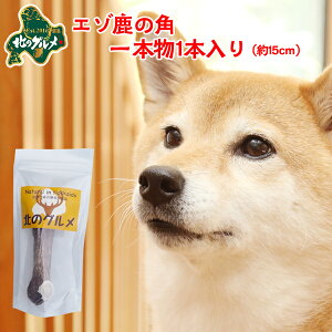  p  kCY G]  pK f^PA 1{15cm×1{ ςᎉbEJ[  G]VJ VJ WrG hbNt[h p ̂ ̃Ic 