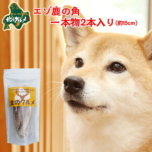  p  kCY G]  pK f^PA 1{15cm×2{ ςᎉbEJ[  G]VJ VJ WrG hbNt[h p ̂ ̃Ic 