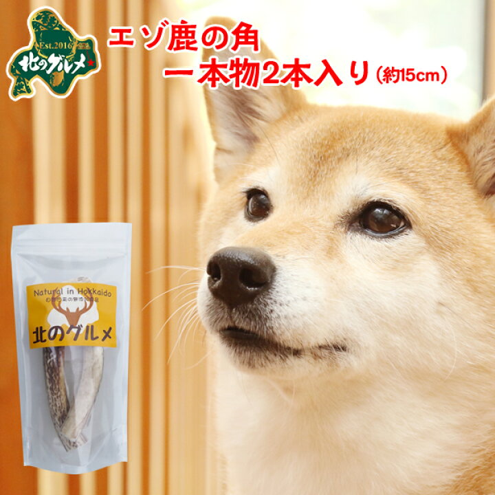 楽天市場】鹿 角 犬 北海道産 エゾ鹿 の 角ガム デンタルケア 1本物 