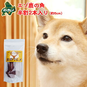  p  kCY G]  pK f^PA 15cm×2{ ςᎉbEJ[  G]VJ VJ WrG hbNt[h p ̂ ̃Ic 