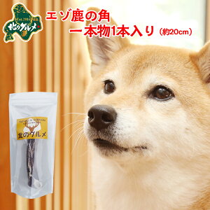  p  kCY G]  pK f^PA 1{20cm×1{ ςᎉbEJ[  G]VJ VJ WrG hbNt[h p ̂ ̃Ic 