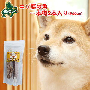  p  kCY G]  pK f^PA 1{20cm×2{ ςᎉbEJ[  G]VJ VJ WrG hbNt[h p ̂ ̃Ic 