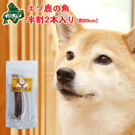 鹿 角 犬 北海道産 エゾ鹿 の 角ガム デンタルケア 半割20cm×2本入 高たんぱく質＆低脂肪・低カロリー えぞ鹿肉 エゾシカ肉 シカ肉 ジビエ ドックフード 犬用おやつ 犬のおやつ 犬のオヤツ いぬのおやつ 高齢犬 国産 【ペット用品】【メール便】【ss】
