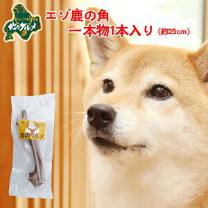  p  kCY G]  pK f^PA 1{25cm×1{ ςᎉbEJ[  G]VJ VJ WrG hbNt[h p ̂ ̃Ic 