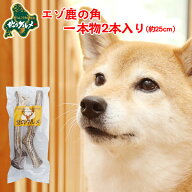 鹿 角 犬 北海道産 エゾ鹿 の 角ガム デンタルケア 1本物25cm×2本入 高たんぱく質＆低脂肪・低カロリー …