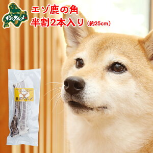  p  kCY G]  pK f^PA 25cm×2{ ςᎉbEJ[  G]VJ VJ WrG hbNt[h p ̂ ̃Ic 