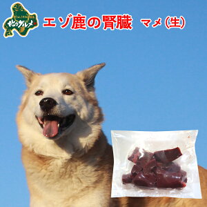 【新商品:冷凍】 北海道産エゾ鹿の腎臓(マメ) 100g 高たんぱく質&低脂肪・低カロリー 【/えぞ鹿肉/エゾシカ肉/シカ肉/ジビエ/ドックフード/犬用おやつ/犬のおやつ/犬のオヤツ/いぬのお