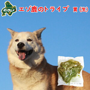 yViFⓀz kCYG]̃gCv 100g ςᎉbEJ[ y//G]VJ/VJ/WrG/hbNt[h/p/̂/̃Ic/ʂ̂/