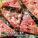 【北海道産】エゾシカ肉/鹿肉/シカ肉/ジビエ 鹿レバー 100g×3パック【shika-s】 生肉