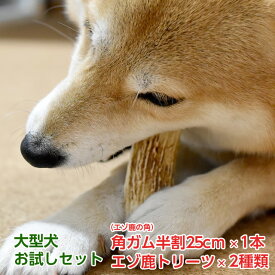 楽天市場 大きい ガム おやつ ドッグフード サプリメント 犬用品 ペット ペットグッズの通販