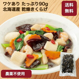 y󂠂zkCY 炰 ^Cv 90g A ƒp _sgp  LNQ ؎ H@  N ̂ LmR  P p ֗ Y _CGbg  