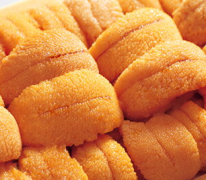 .(G]otEj) 1120gO / tws