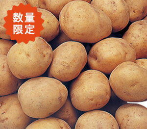 j݂Ⴊ LTCY 10kg/is/9{̂͂/͓ws
