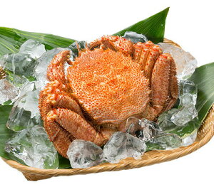 lŖъIiⓀj 500gO^傫TCY