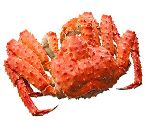 ykCYz{C΂ɎpiⓀj2.8kgO