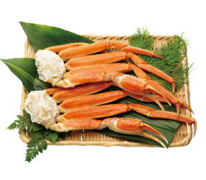 {C킢ɑiⓀj 600gOi2jܓ