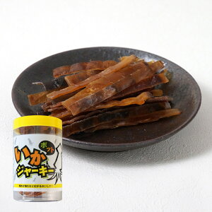 W[L[POT 60g×10i܂݁jP[Xi@i̍jij