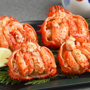 ԍ炪ɍbi430266jyziji񂹁jijiΕjiMtgjiij