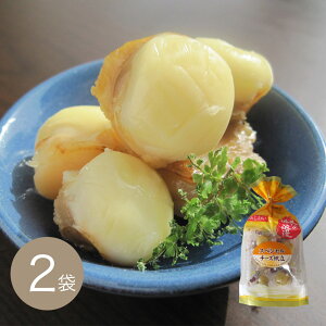 XyV`[Y100g×2܁y]ˉziz֑Ήji܂݁ji̍jij