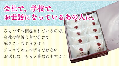 【ネット限定・送料無料】ほっぺたとろける☆口どけのよいふんわり軽い生クリームを使った【北国のいちご大福10個入り】おためし【祝い洋菓子和菓子プレゼント贈物】ひんやりスイーツ