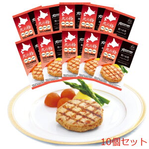 レトルト ハンバーグ ペットの人気商品 通販 価格比較 価格 Com