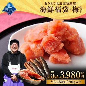 kC CN ~Zbg S5i3,980~Iy炱(؂q)200g ܂ q(؂q)200g{4iz CN Hi lߍ킹 Zbg  Ⓚ ܂ 