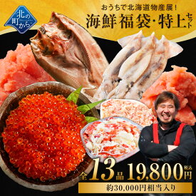 北海道 海鮮福袋 特上セット 全13品19,800円！【 鮭いくら醤油漬け、スルメイカ、ホッケ一夜干し、ズワイガニ剥き身、タラバガニむき身、明太子(切れ子)、たらこ(切れ子)＋他6品】海鮮 いくら カニ タラバ 食品 詰め合わせ 産地直送