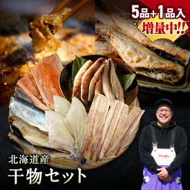 北海道産 干物セット 全5種+1種 干物セット ひもの 詰め合わせ 干物詰め合わせ 干物セット 一夜干し 魚介セット 国産 冷凍 干物 焼き魚 魚 魚セット 送料無料 おかず つまみ 肴 お取り寄せ グルメ ギフト プレゼント 誕生日
