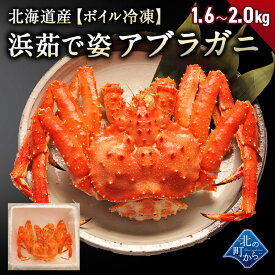楽天市場 カニ 姿 カニの種 しゅ アブラガニ の通販 楽天市場 カニ 姿 カニの種 しゅ アブラガニ の通販
