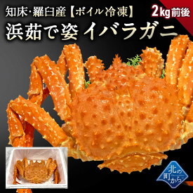 楽天市場 イバラカニ 食品 の通販