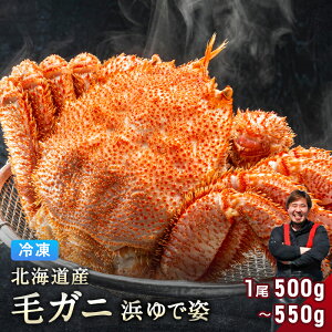 kCY уKj 500g`550g yl䥂ŋ}Ⓚ pz ̂ꂽĂ̖ъIVNȂɕl䥂łɁI ъI уJj т т Jj I