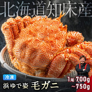 уKj 󏭂ȒmY 700g`750g yl䥂ŋ}Ⓚ pz ̂ꂽĂ̖ъIVNȂɕl䥂łɁI ъI уJj т т Jj I