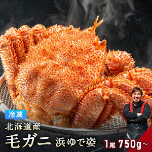 kCY уKj 750g` TCY yl䥂ŋ}Ⓚ pz ъI уJj т т Jj I  O 