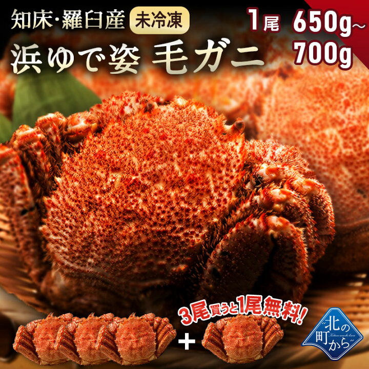 楽天市場 3 4 11限定10 Offクーポン配布中 ご予約商品 毛ガニ 希少な知床 羅臼産 650g 700g 浜茹で未冷凍 姿 採れたての毛蟹を新鮮なうちに浜茹でに 毛蟹 毛カニ 毛かに 毛がに カニ 蟹 3尾ご購入で1尾プレゼント中 同梱不可 22年4月頃より