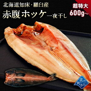 ԕzbP kC mEPY 銱 600g` ق ΂ق zbP PzbP   J 葢   O KzbP  KTCY