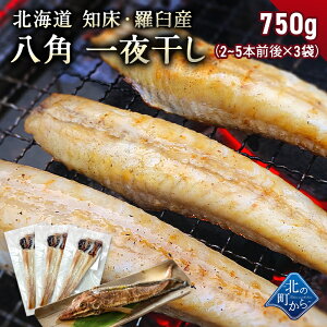 p kC mEPY p銱 1250g (2~5{O) nbJN ͂   Ⓚ  Y  BBQ