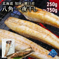 八角 北海道 知床・羅臼産 八角一夜干し 1袋250g (2~5本前後入り) ハッカク はっかく 魚 干物 冷凍干物 …