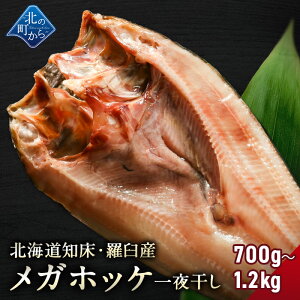kC mEPY KzbP 銱 700g`1.2kg X̃zbPׂ͂Ď̏^zbPI ق zbP ^ق PzbP   J 葢  O o[xL[ BB