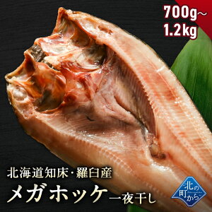 kC mEPY KzbP 銱 700g`1.2kg X̃zbPׂ͂Ď̏^zbPI ق zbP ^ق PzbP   J 葢  O o[xL[ BB