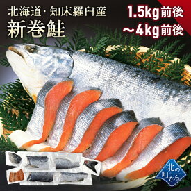 北海道 知床・羅臼産 新巻鮭 一尾 カット済み 旬の秋鮭の旨みを塩で引き立てた北の逸品！ 新巻き鮭 荒巻鮭 サケ さけ 1本 サーモン 塩漬け お歳暮 ギフト 冬ギフト お正月 内祝い