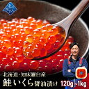 北海道 知床・羅臼産 鮭いくら 醤油漬け 【120g / 200g / 600g /1kg 鮭卵 いくら イクラ ギフト プレゼント 冷凍 海鮮…