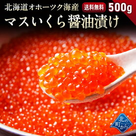楽天市場 いくら 500gの通販