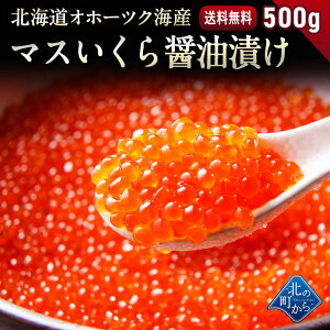 いくら 500gの人気商品 通販 価格比較 価格 Com