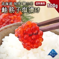 北海道 知床・羅臼産 鮭筋子 500g 塩漬け 熟成されたコクや旨味！ すじこ スジコ 筋子 塩筋子 鮭卵 魚卵 …